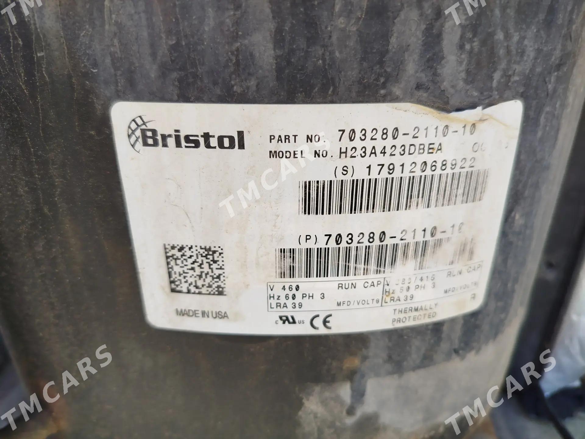 Bristol - Hazar - img 3