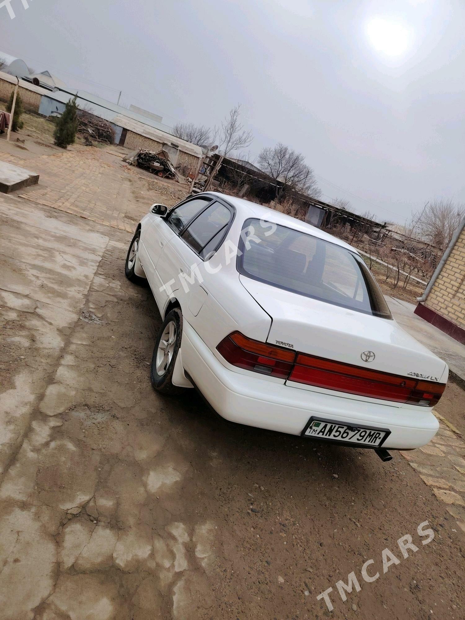 Toyota Corolla 1993 - 56 000 TMT - Sakarçäge - img 2