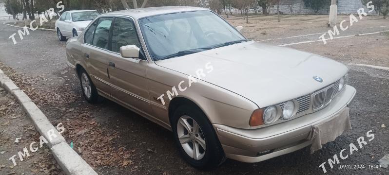 BMW 525 1991 - 48 000 TMT - Mary - img 2