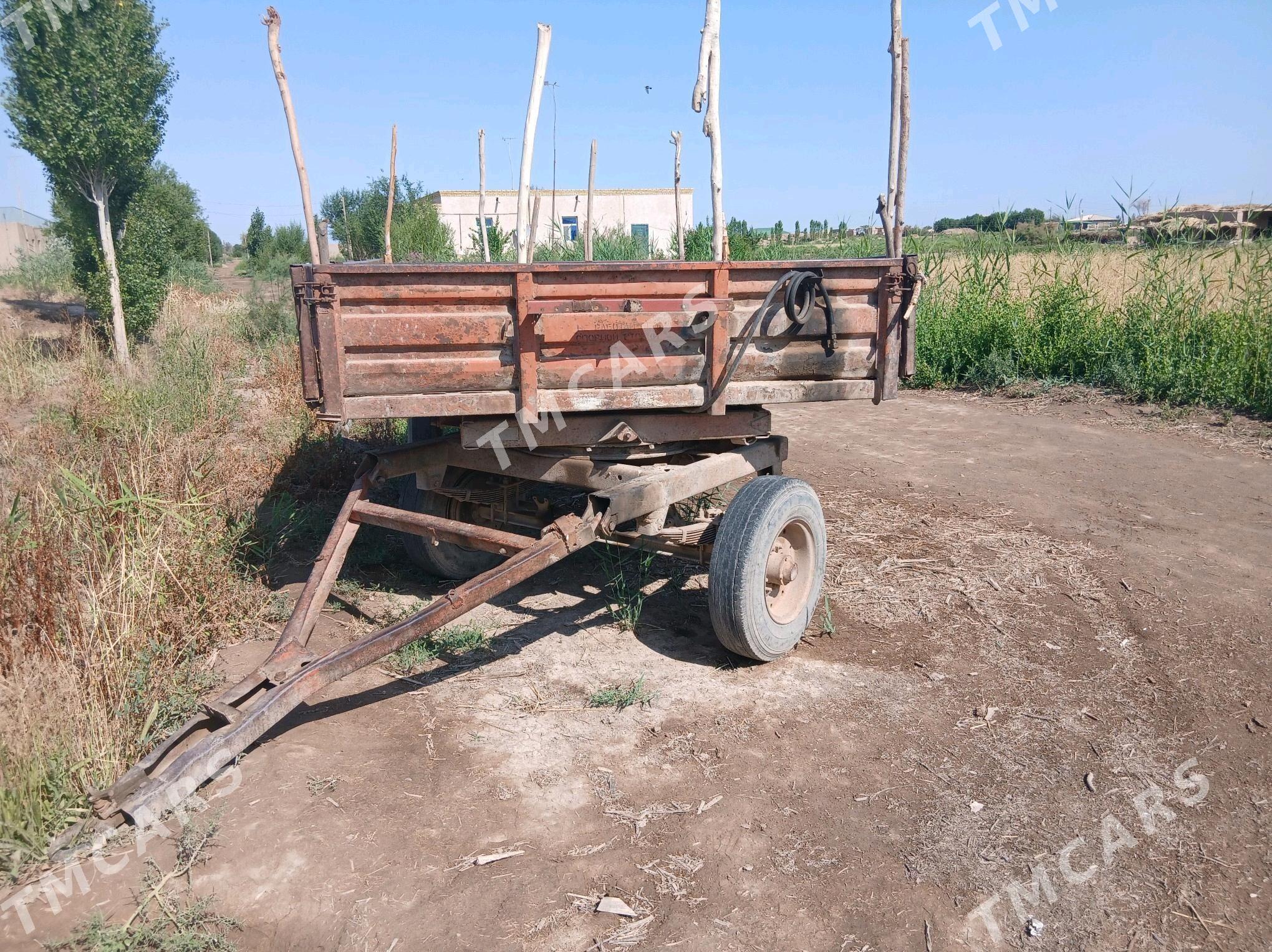 MTZ T-28 1995 - 10 000 TMT - Гороглы (Тагта) - img 4