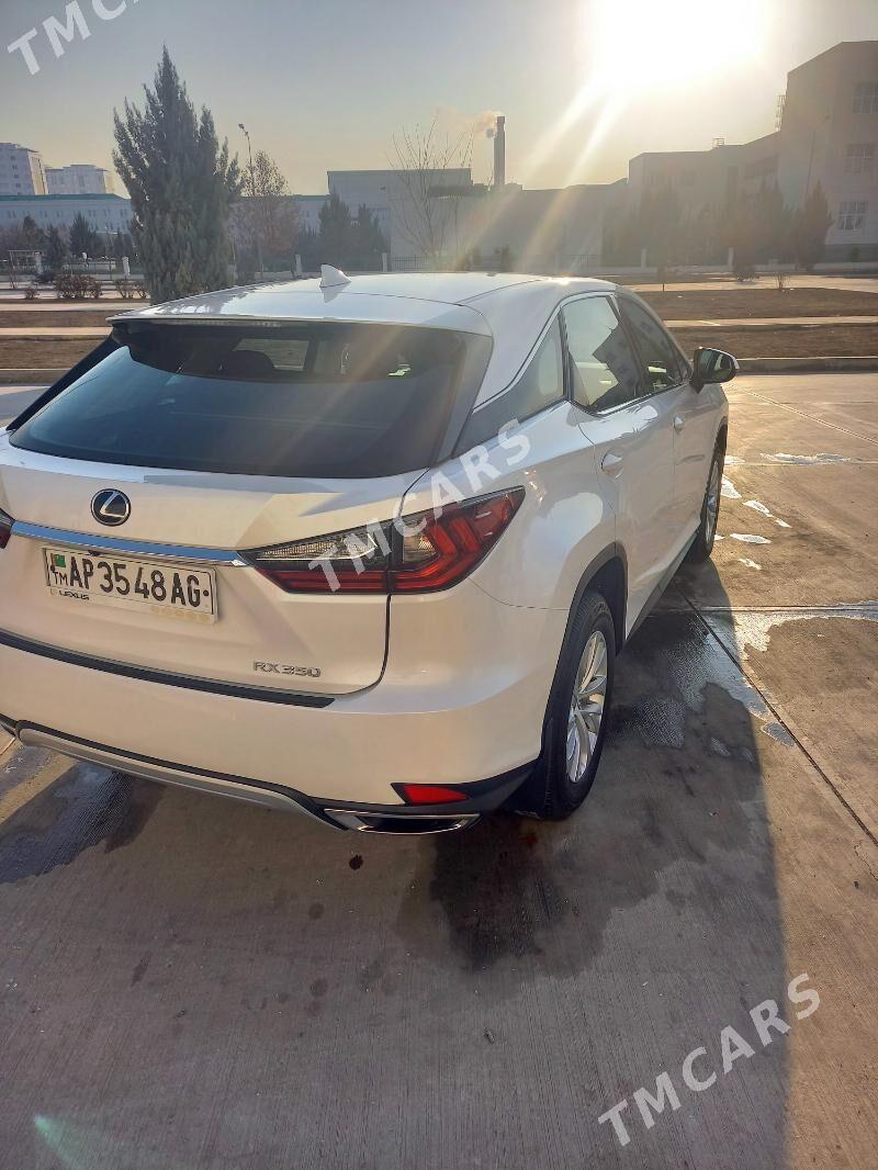 Lexus RX 350 2020 - 630 000 TMT - Ашхабад - img 5