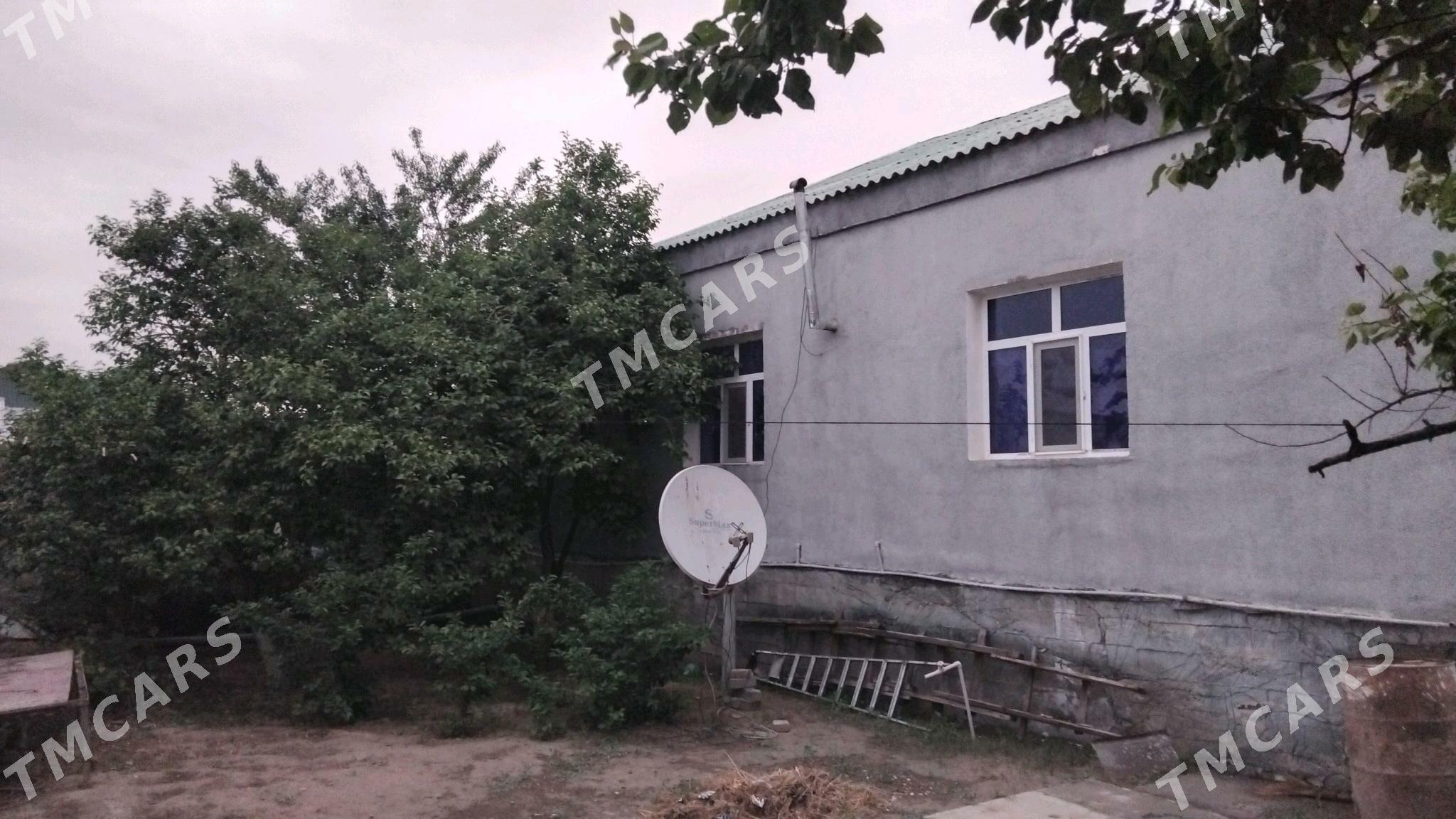 Gokje plon - Ашхабад - img 5