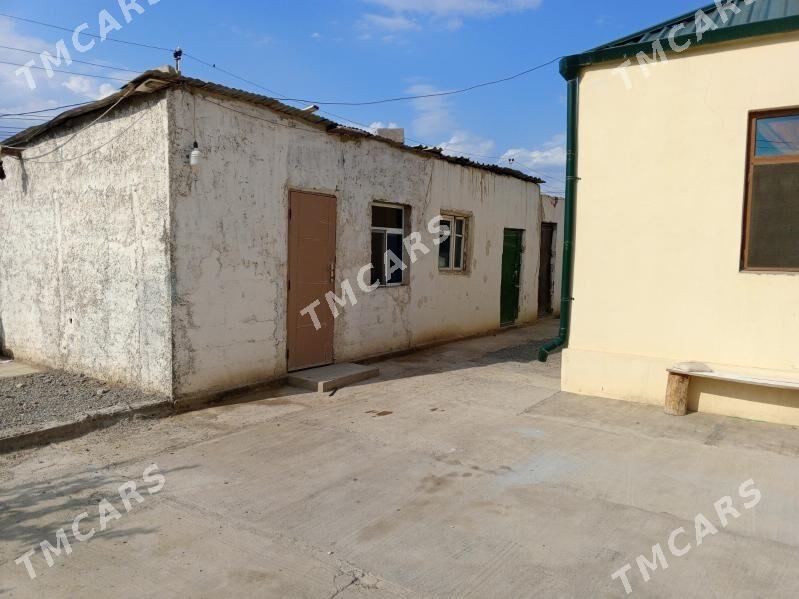 buzmeyin kruk jay - Büzmeýin - img 2