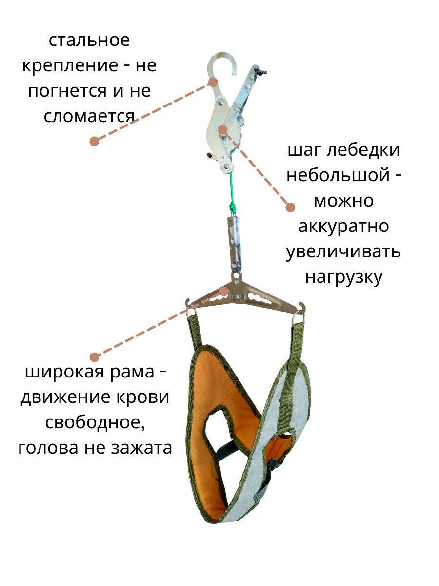 Петля Глиссона - Gurtly - img 7