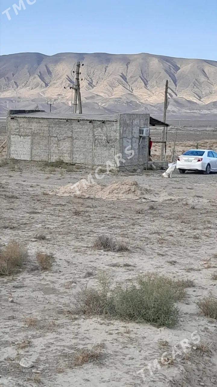 satlyk 4 gekdar - Aşgabat - img 4