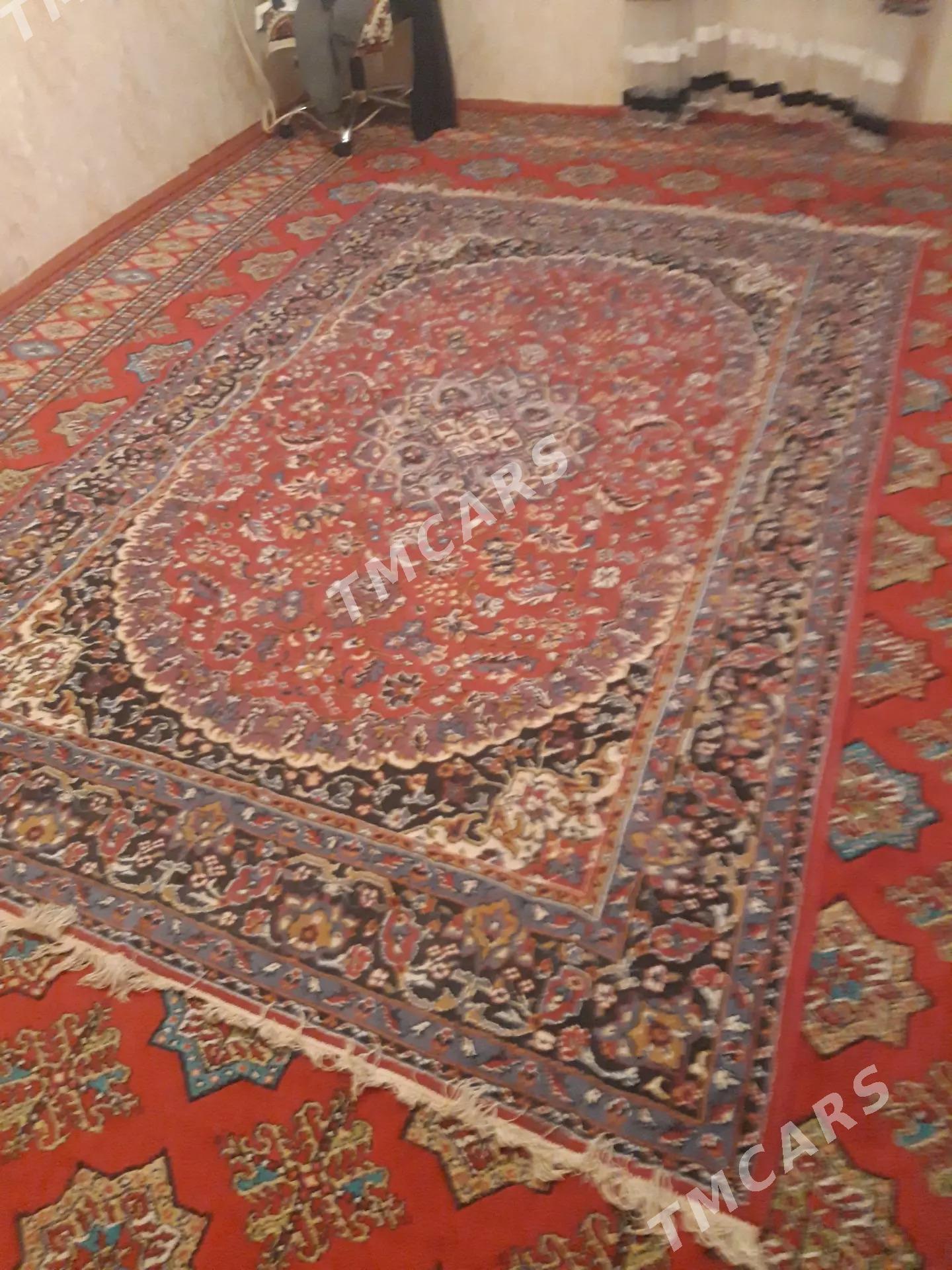 Haly - Aşgabat - img 2