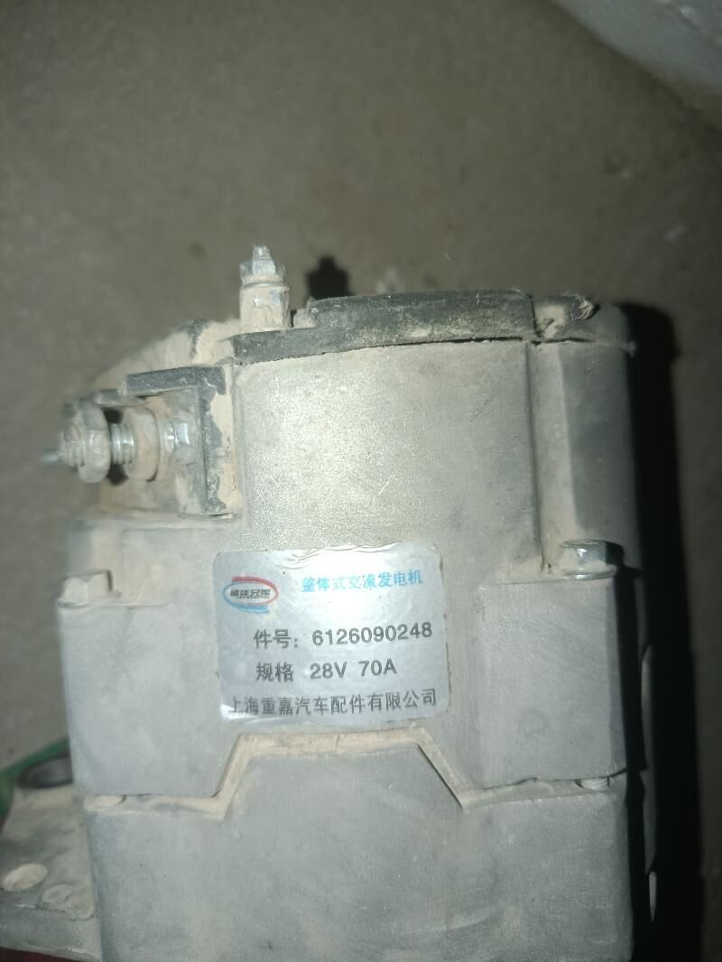 dinama orginal 600 TMT - Mary - img 2