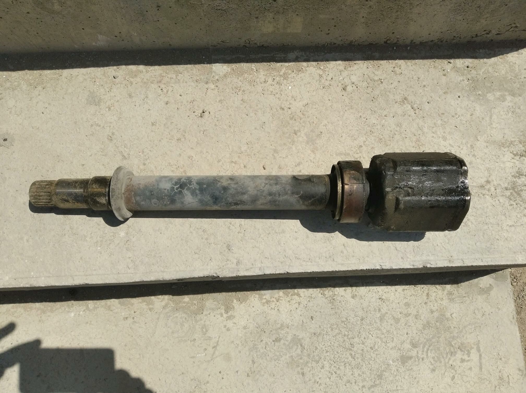 3.5 öküz küzesi 200 TMT - Jebel - img 3