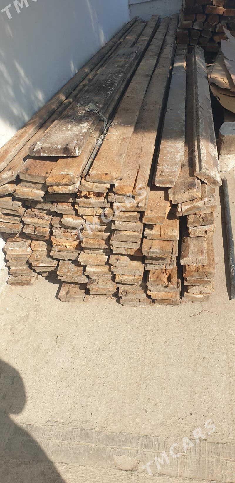 Polluk agac 6metr - Türkmenbaşy - img 4