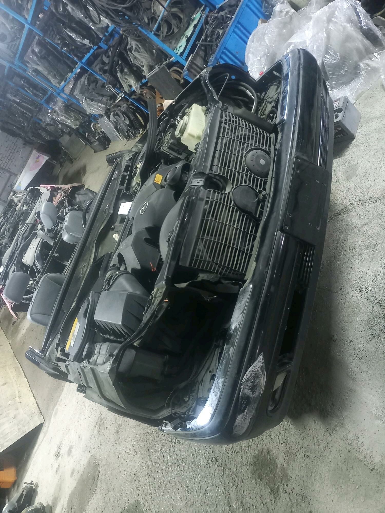 MORDA BMW MERSEDES AUDY WOLSW - Ашхабад - img 8