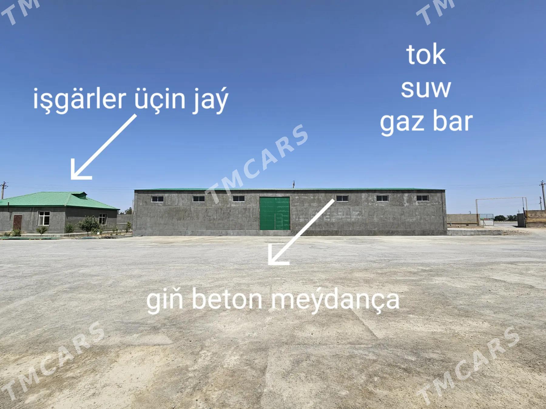 Arenda sklat,angar,Anew - Änew - img 3
