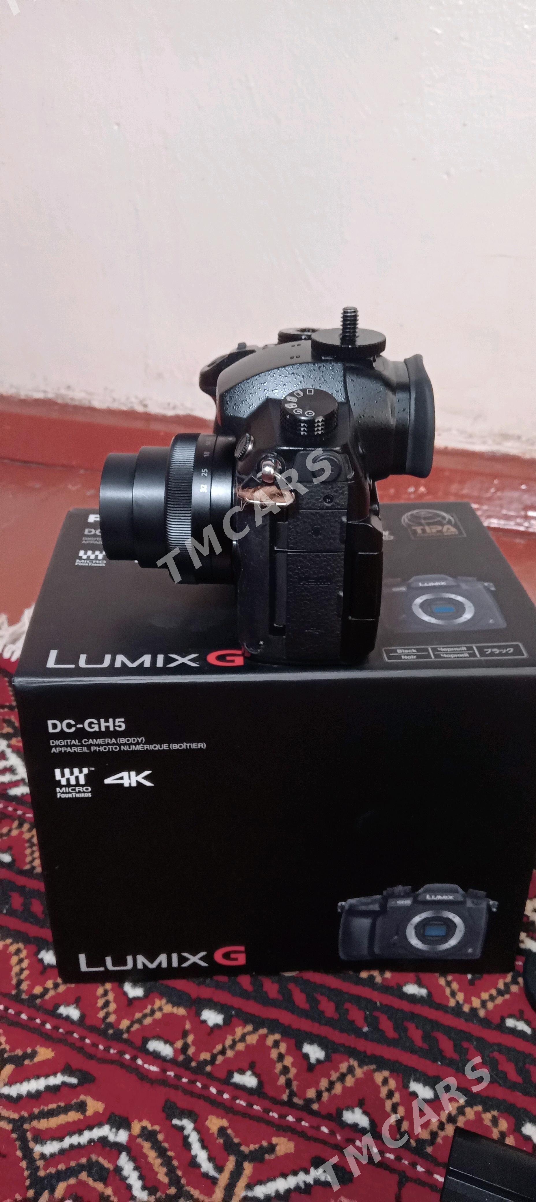 Lumix GH5 - Tejen - img 2