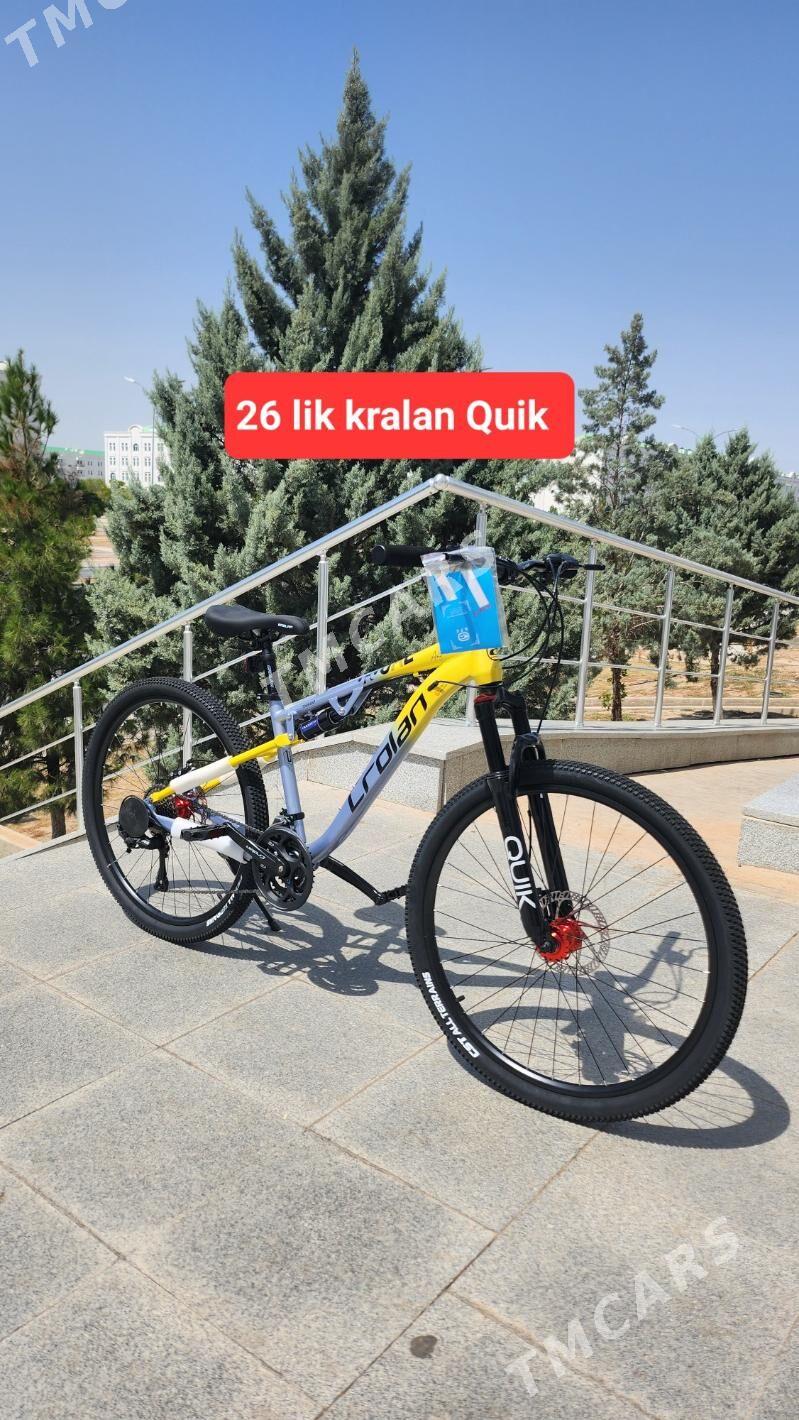 TIGIR BASEYKA MATOR KALYASGA - Köşi - img 8