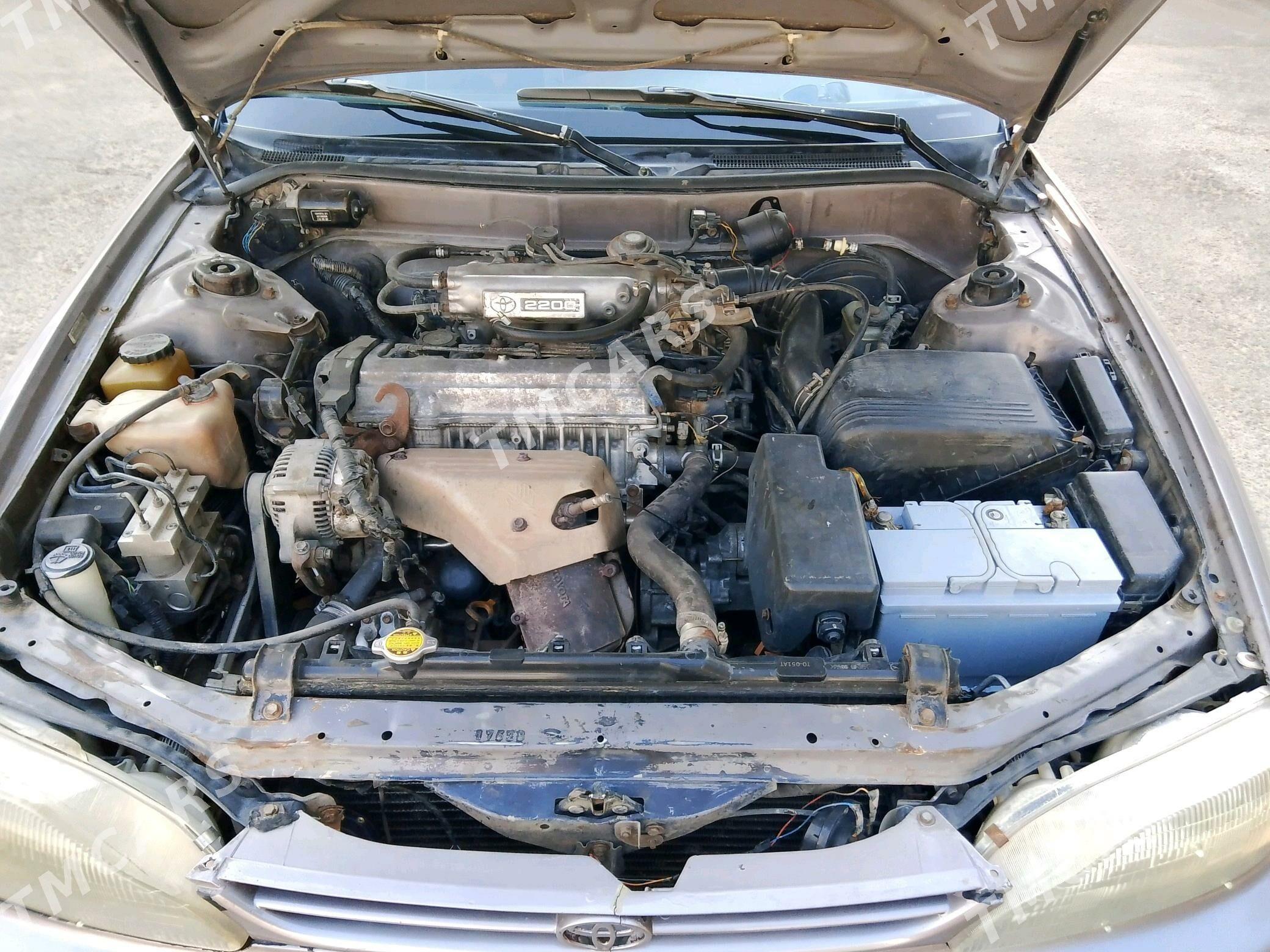 Toyota Camry 1995 - 80 000 TMT - Байрамали - img 5