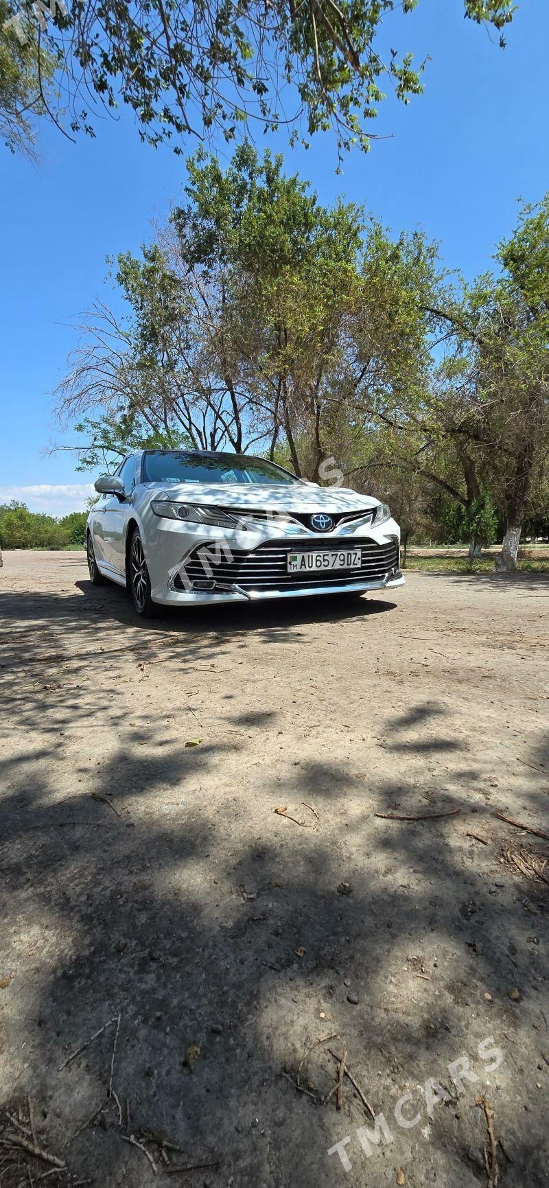 Toyota Camry 2018 - 340 000 TMT - Daşoguz - img 1