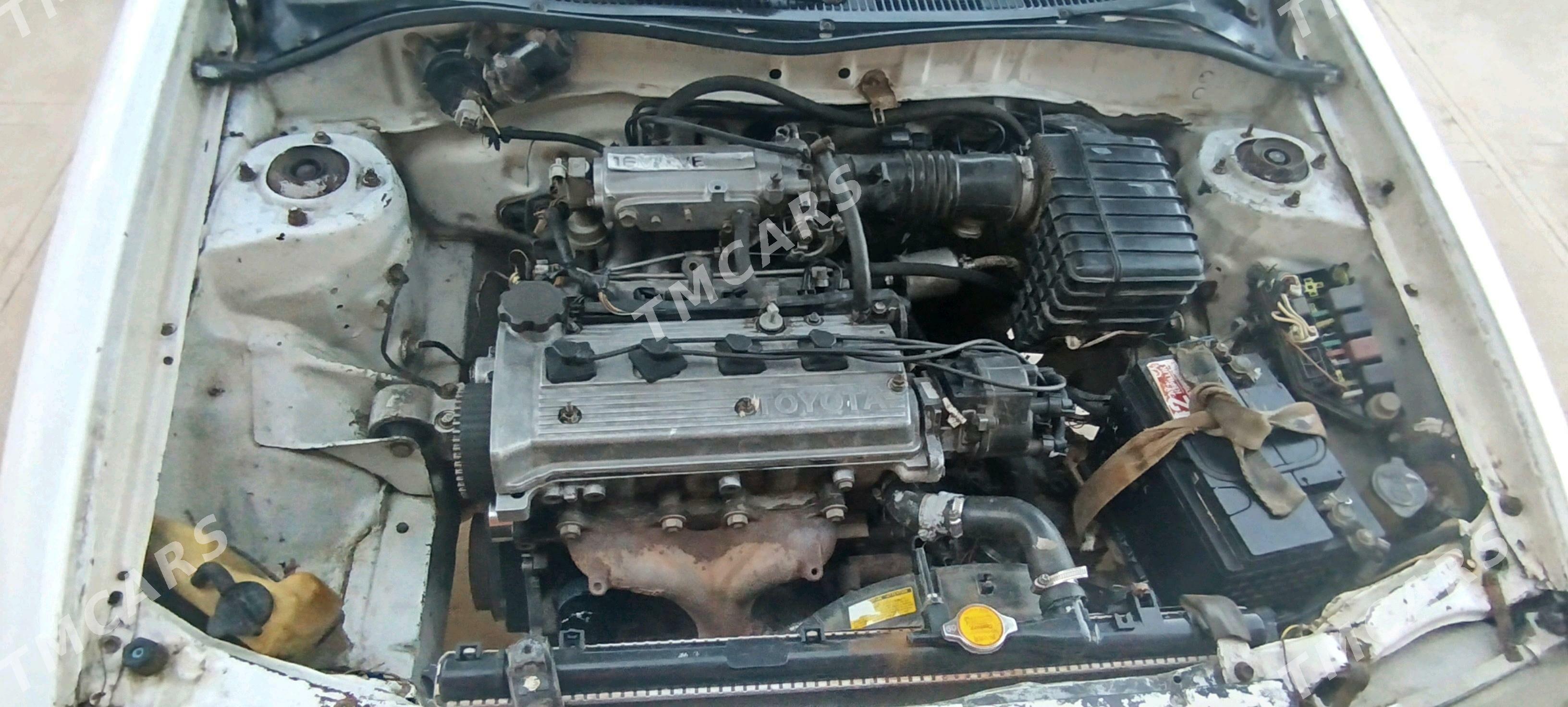 Toyota Tercel 1994 - 16 000 TMT - Sarahs - img 5