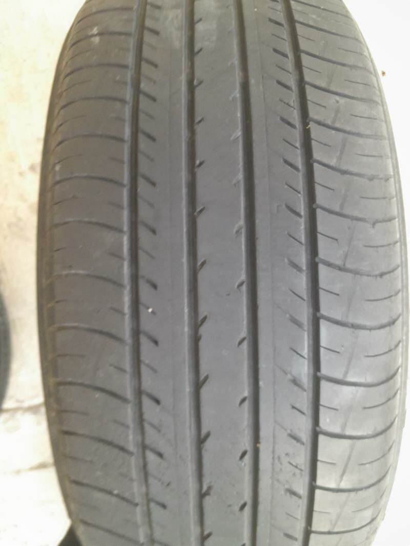teker 600 TMT - Bagyr - img 3