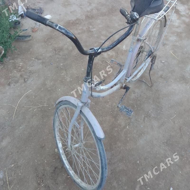 tigir - Şabat etr. - img 2
