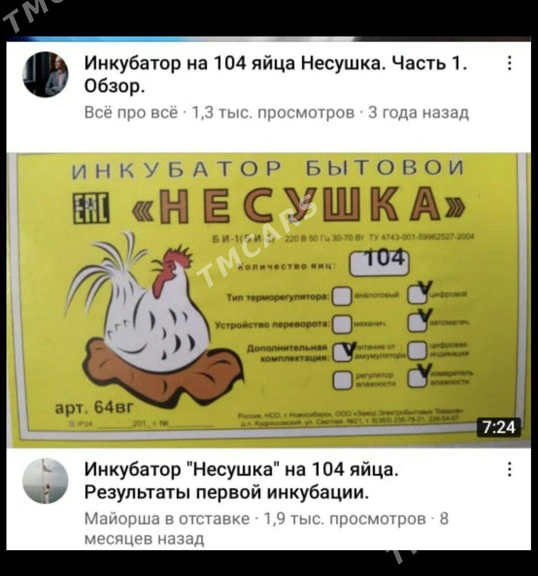 Инкубатор - Акдепе - img 3