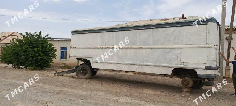 Wagon - Kaka - img 2
