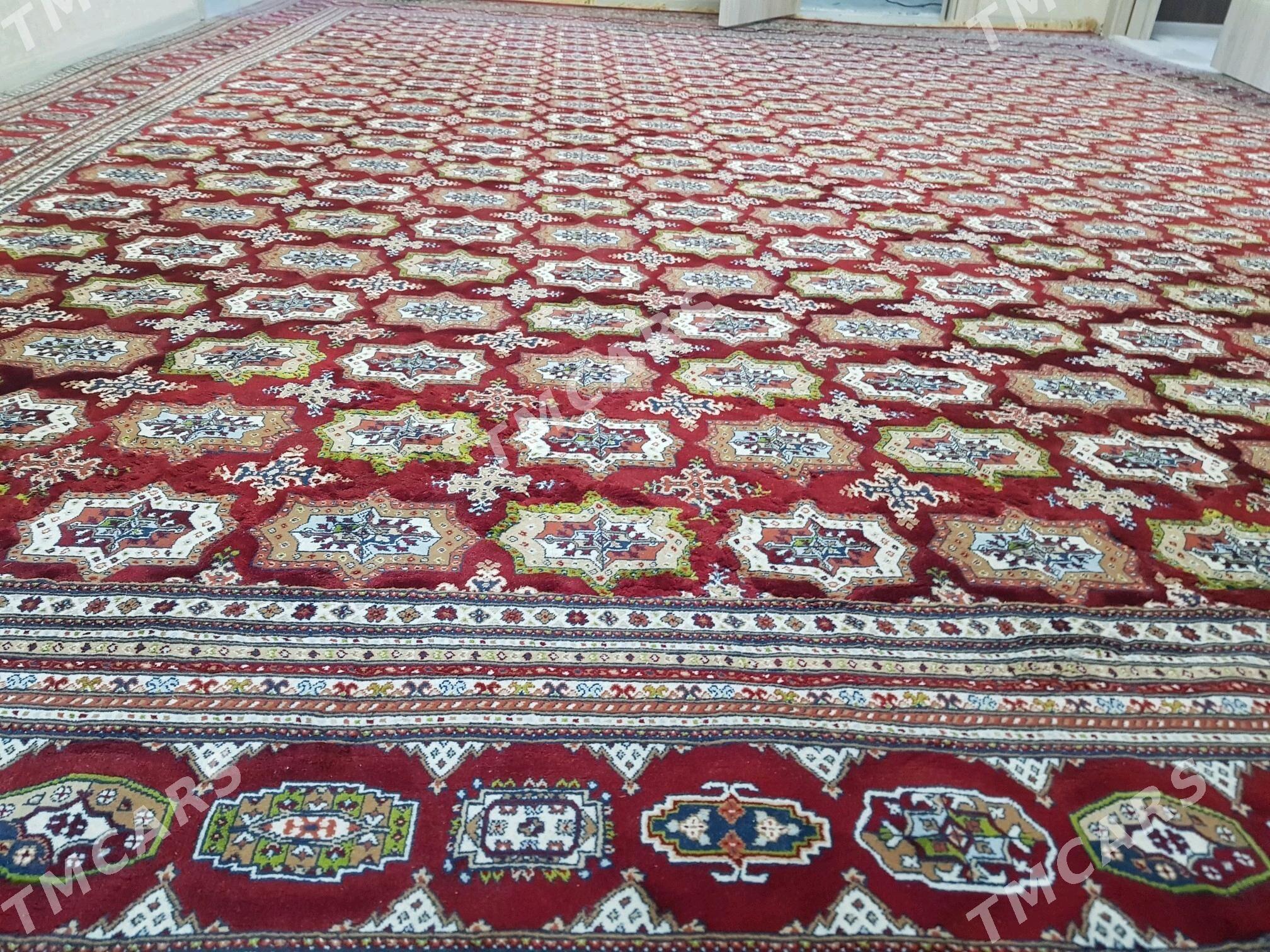 haly - Aşgabat - img 2
