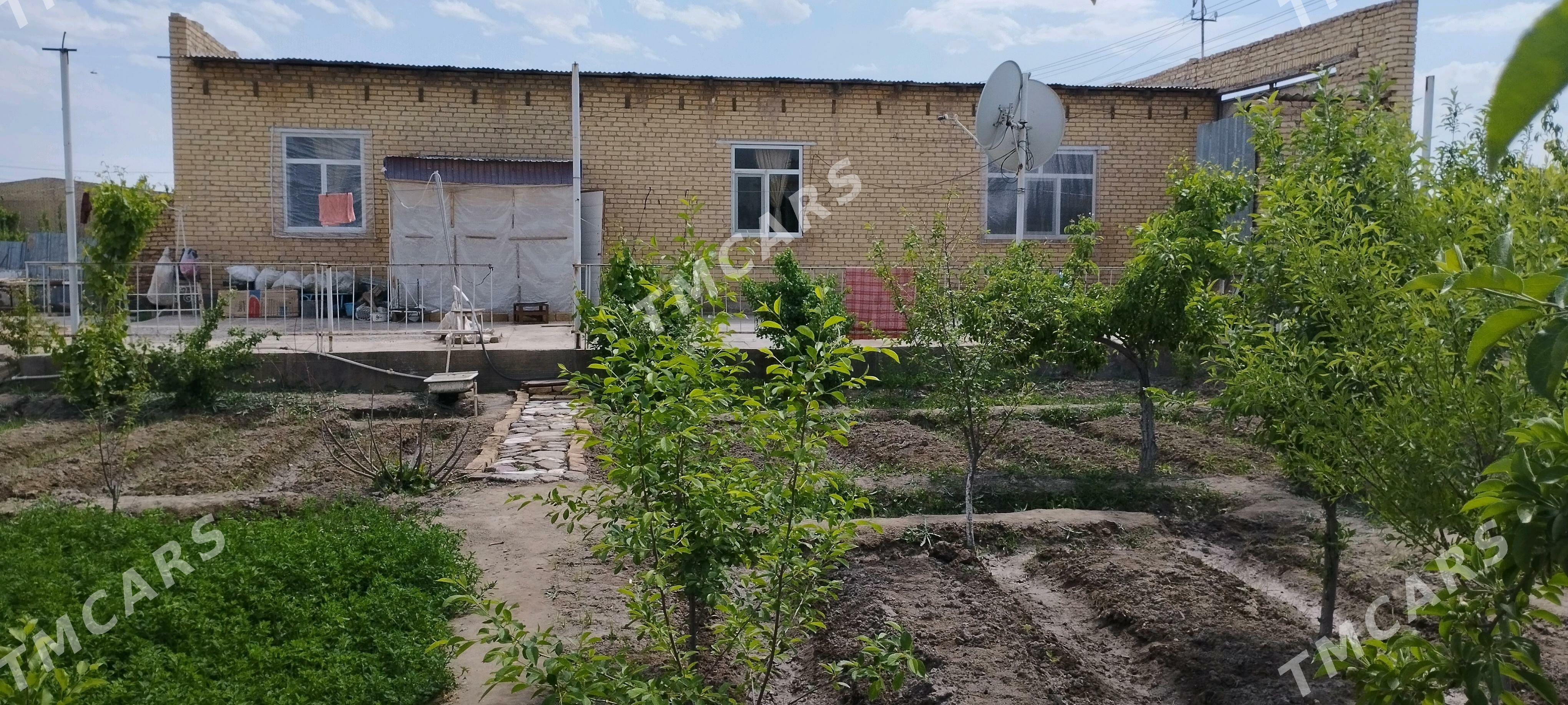 SATLYK DAÇA - Туркменабат - img 10