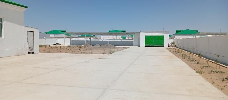 Anew kor cay plan - Анев - img 2