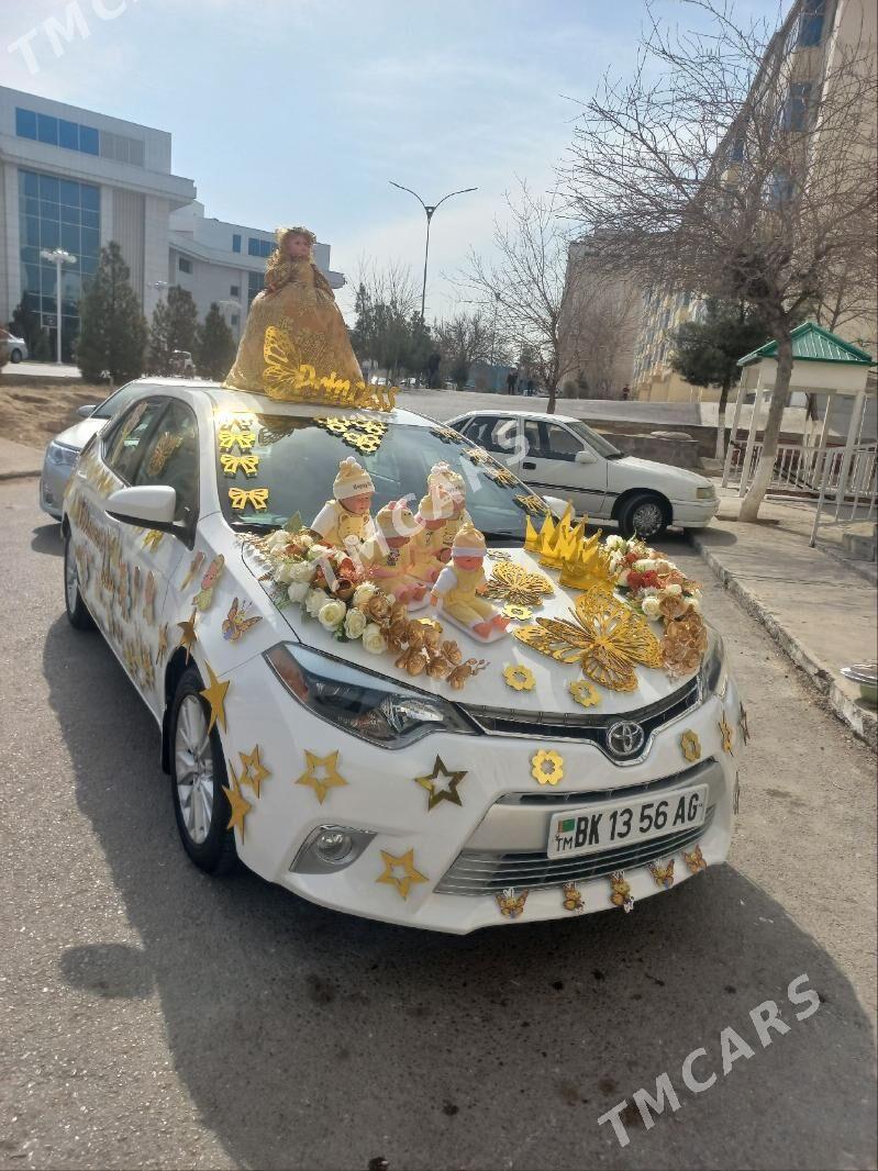 Tayyn mashin bezeg - Aşgabat - img 7