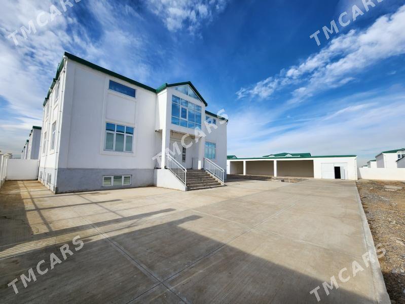 Gami katej satlyk - Aşgabat - img 2