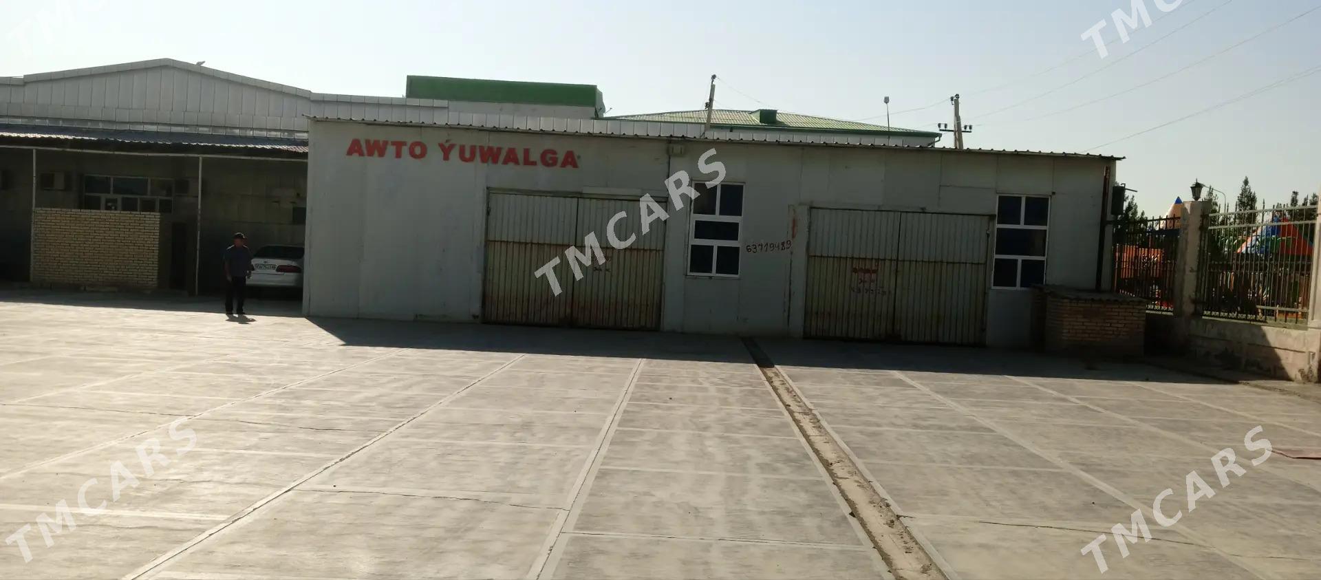 arenda awto yuwalga - Сакарчага - img 3