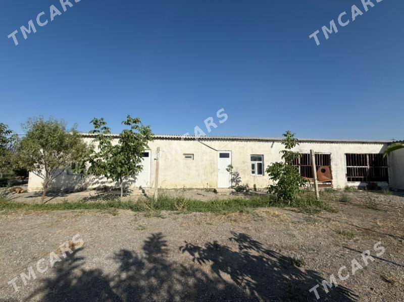 mellek yer - Gökdepe - img 2
