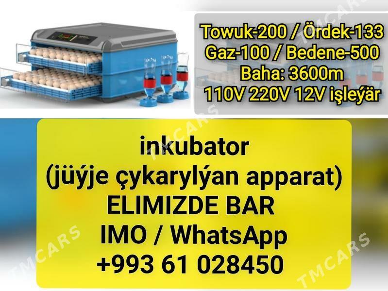 Инкубатор inkubatr towuk induk - Ашхабад - img 2