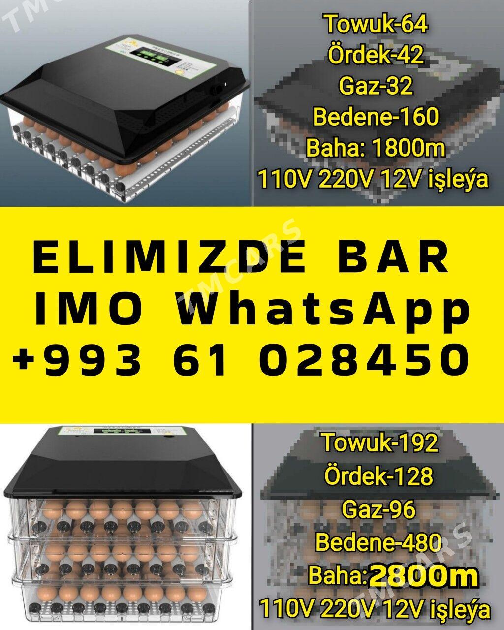 Инкубатор inkubatr towuk induk - Ашхабад - img 3