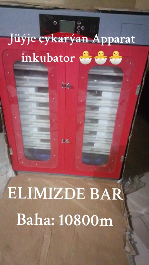 inkubator towuk jüýje horaz - ул. Советская (Гарашсызлык шаёлы) - img 10