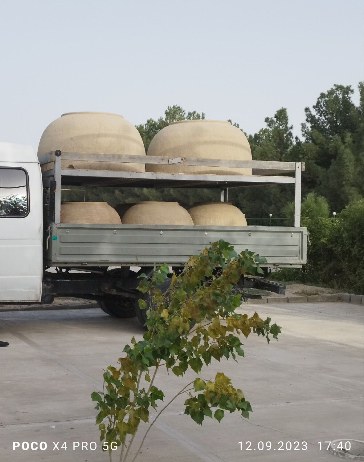 TURKMEN MILLI TAMDYRLAR  - Aşgabat - img 8