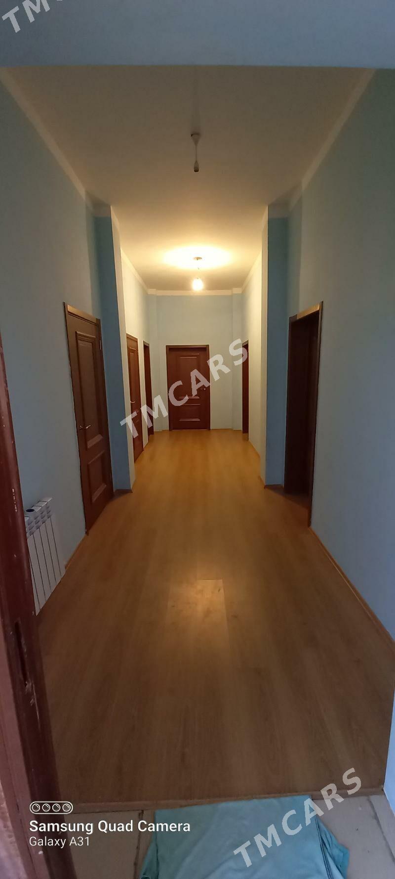 Berekertli zaman jaý Eýesinden - Ak bugdaý etraby - img 5