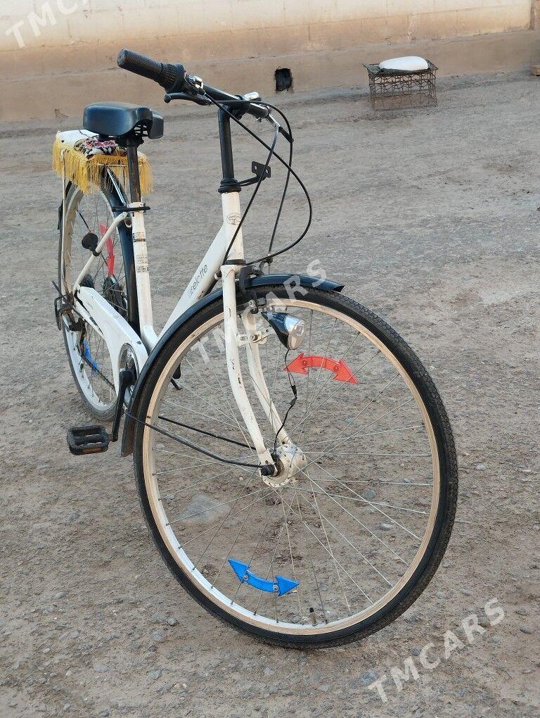 Velsopet 27 - Mary - img 3