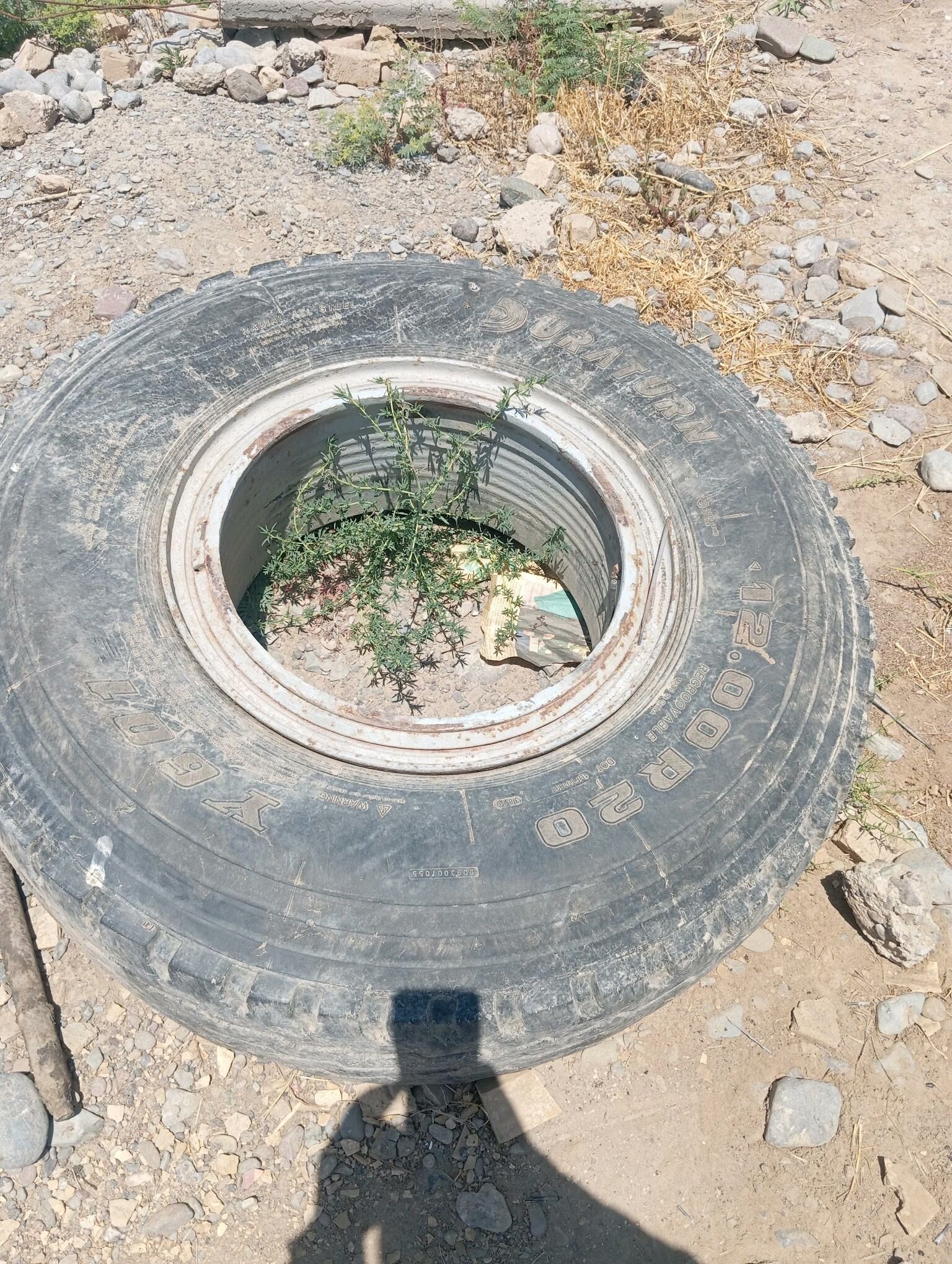 teker 600 TMT - Мургап - img 2