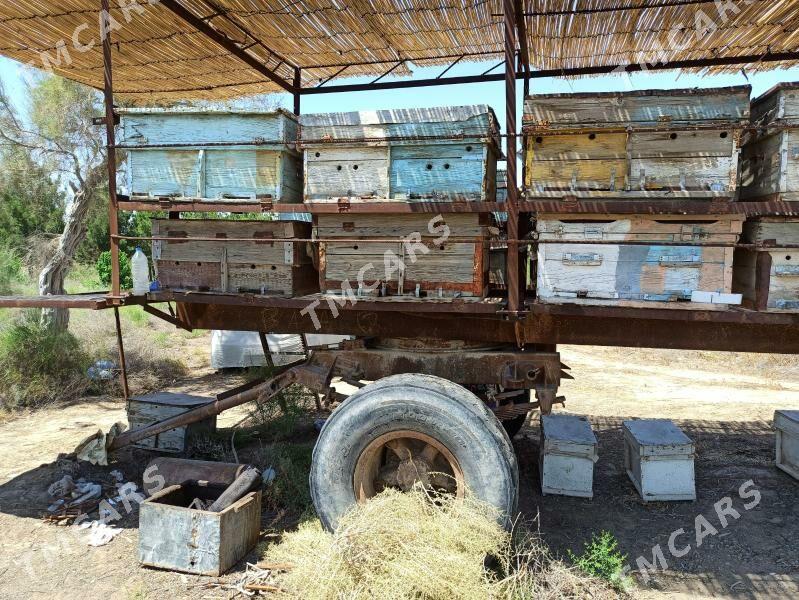 BAL ARY PRISEP АРЫ - Байрамали - img 5