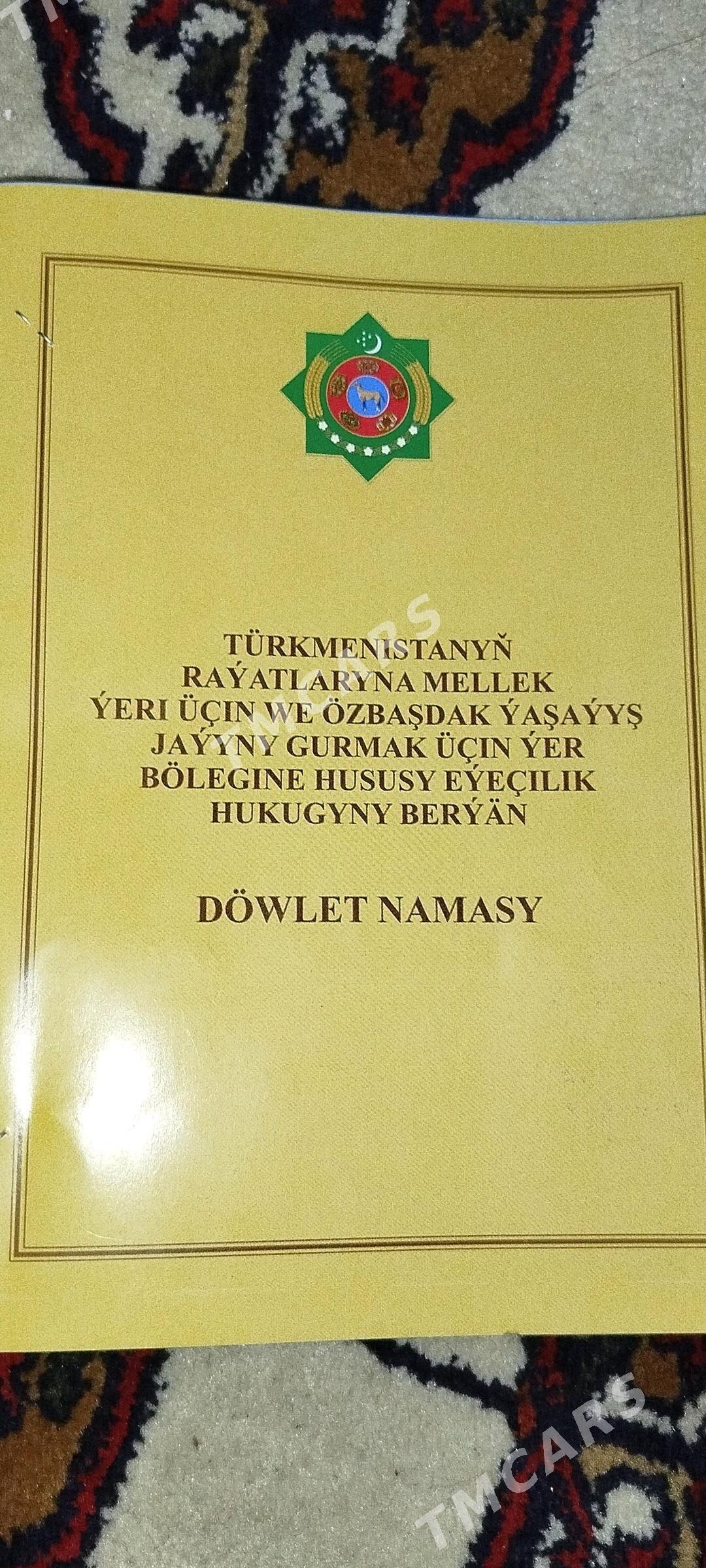 satlyk jay - Halaç - img 3