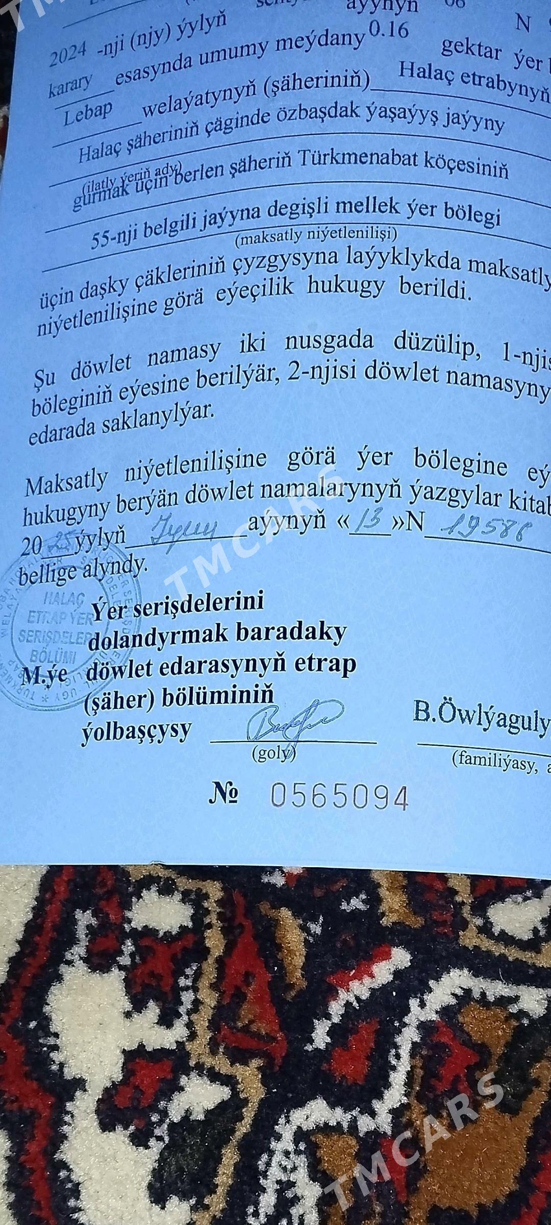 satlyk jay - Halaç - img 2