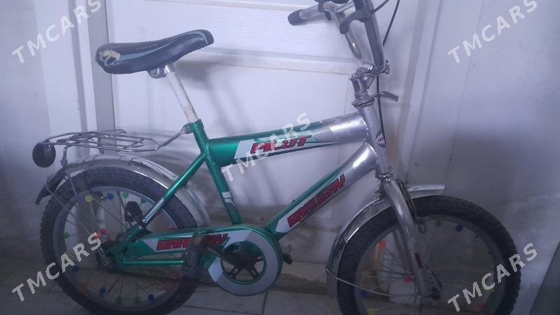 tigir 200 lik - Анев - img 2