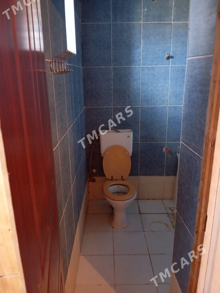 satlyk daca - Mary - img 2
