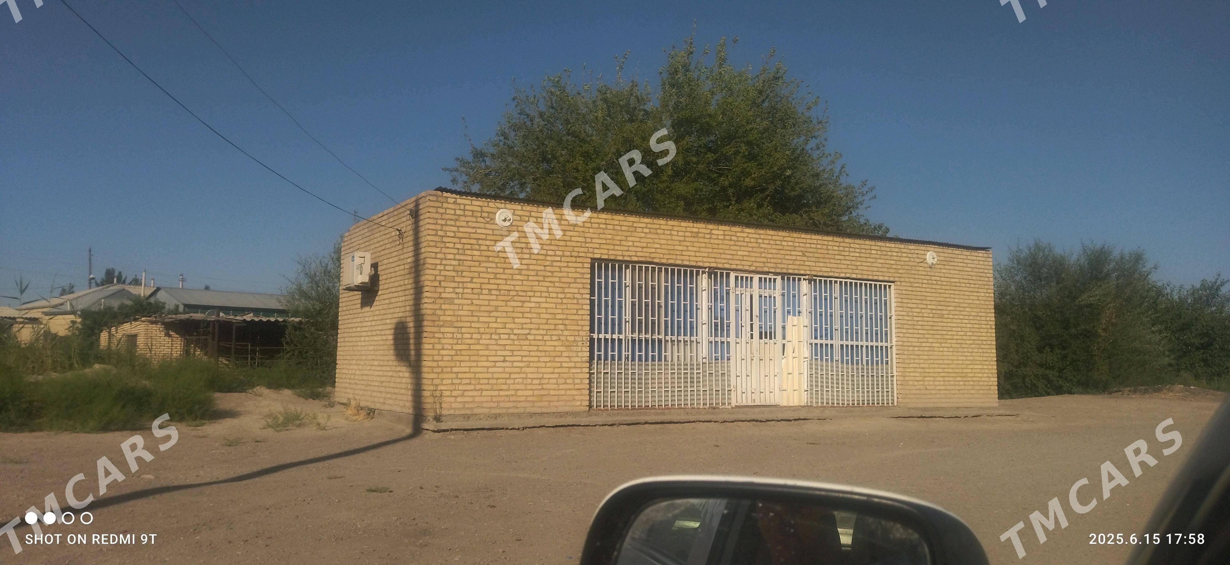 magazin - Murgap - img 2