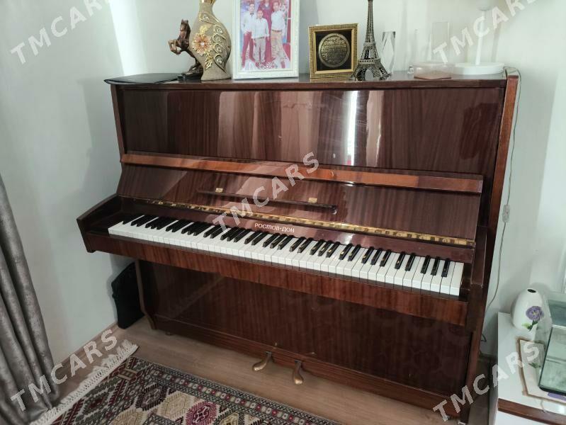Пианино Ростов-Дон - 14-nji tapgyr (Sowhozny köç) - img 2