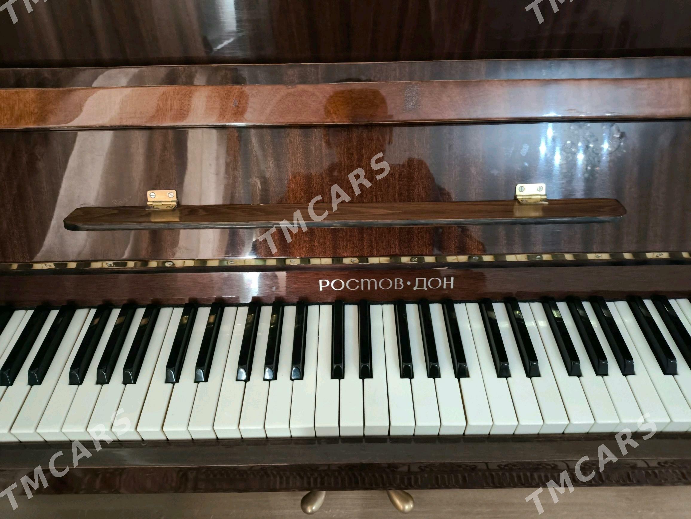 Пианино Ростов-Дон - 14-nji tapgyr (Sowhozny köç) - img 4