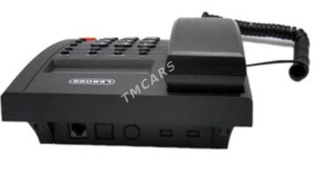 LEBOSS hojalyk Telephone - Sakarçäge - img 2
