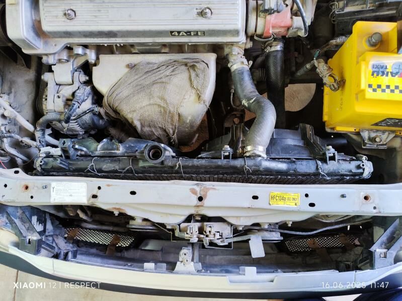 radiator 350 TMT - Дашогуз - img 1