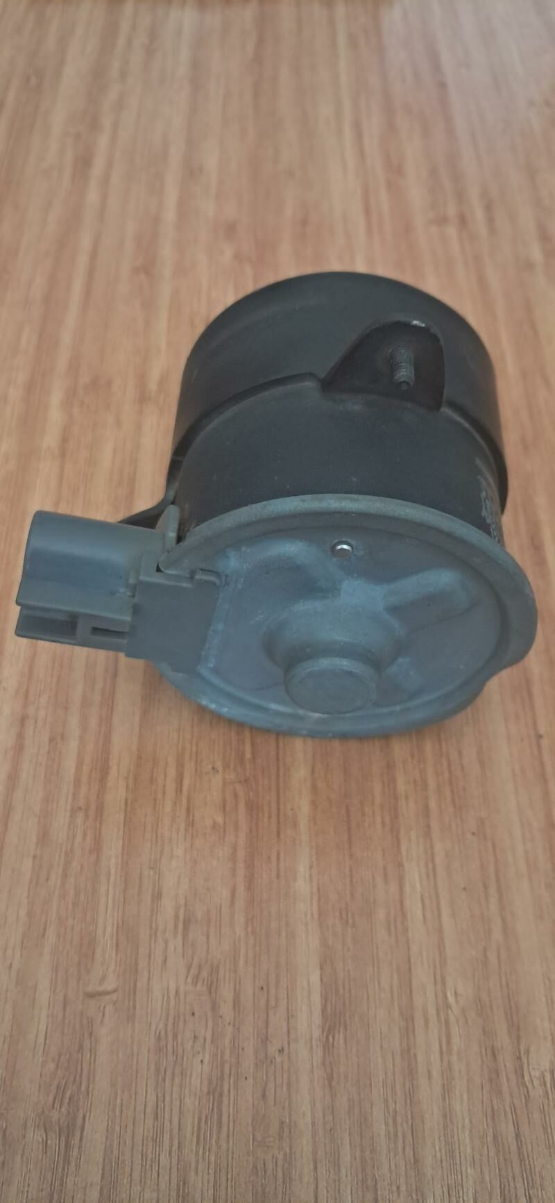 lopus matorçik palta camry 100 TMT - Aşgabat - img 4
