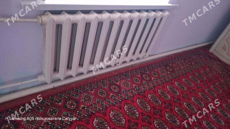 Batarey coyun ulanyp yoren - Sarahs - img 2